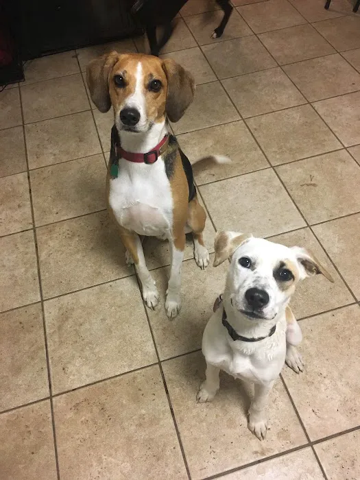 Glen Allen Animal Hospital 3