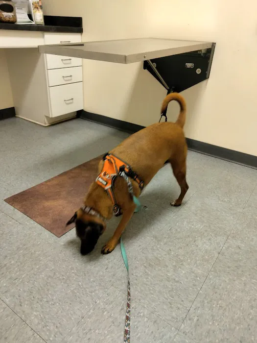 Glen Allen Animal Hospital 8