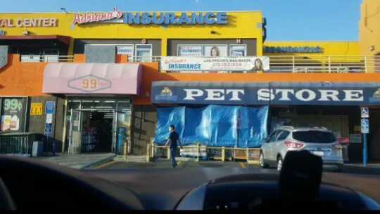 Pet Source 1901 2