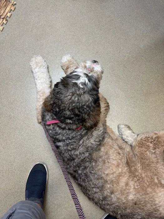 Hanover Animal Hospital 5