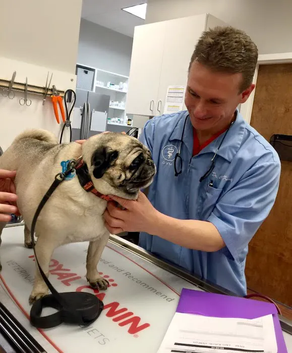 Rutland Animal Hospital 7