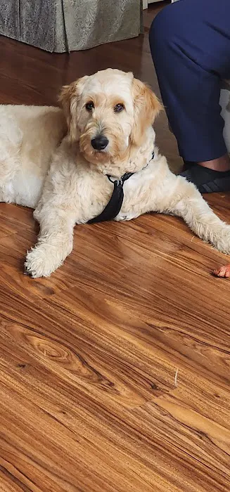 Rutland Animal Hospital 10