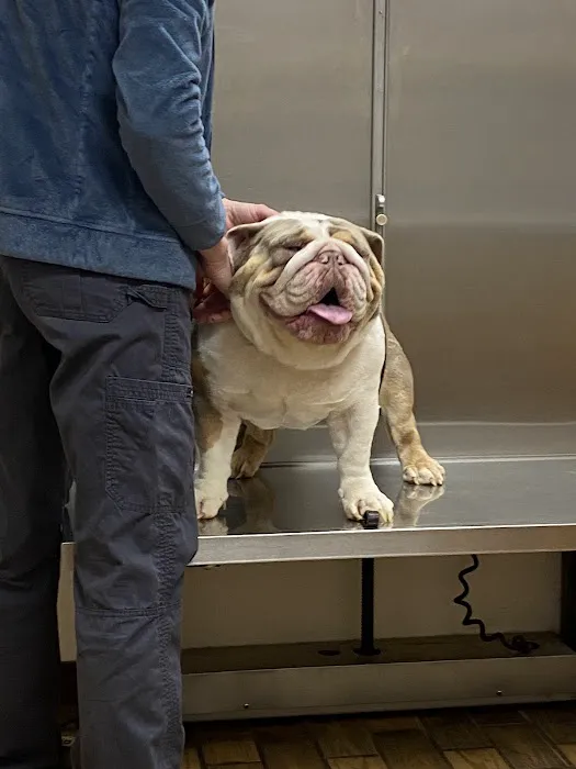 Animal House Veterinary Hospital 2