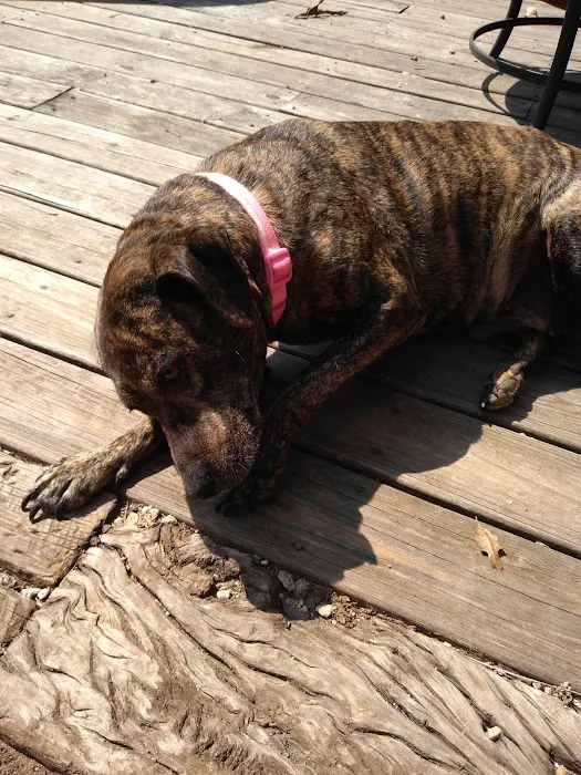 Seneca Animal Hospital 4