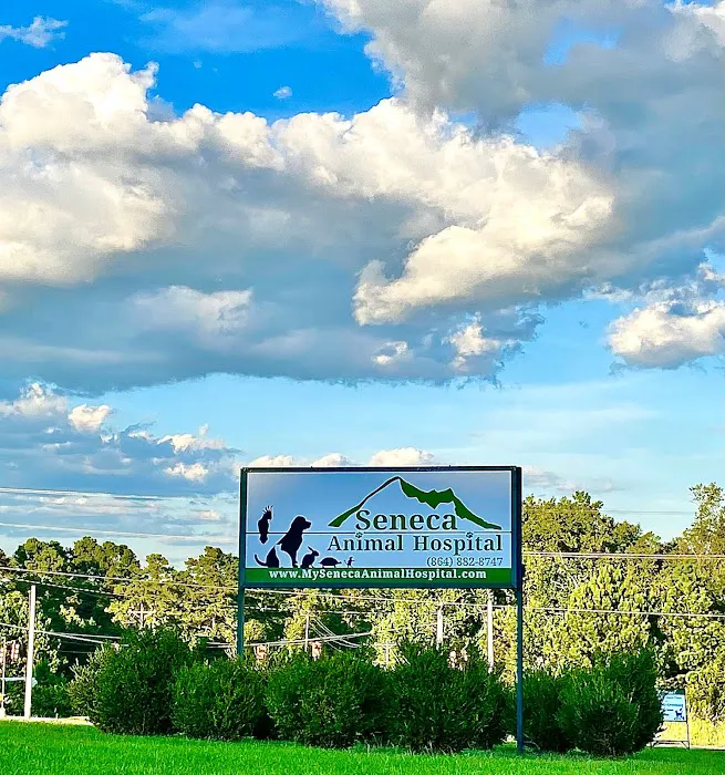 Seneca Animal Hospital 10