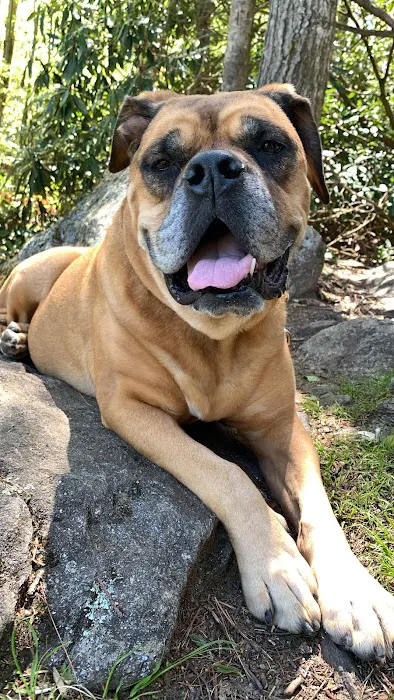 Oconee Veterinary Clinic 8