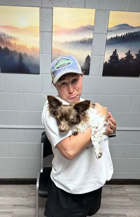Walhalla Veterinary Clinic: Stroud David P DVM 1