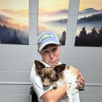 Walhalla Veterinary Clinic: Stroud David P DVM ico