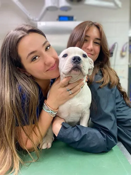 Walhalla Veterinary Hospital 2