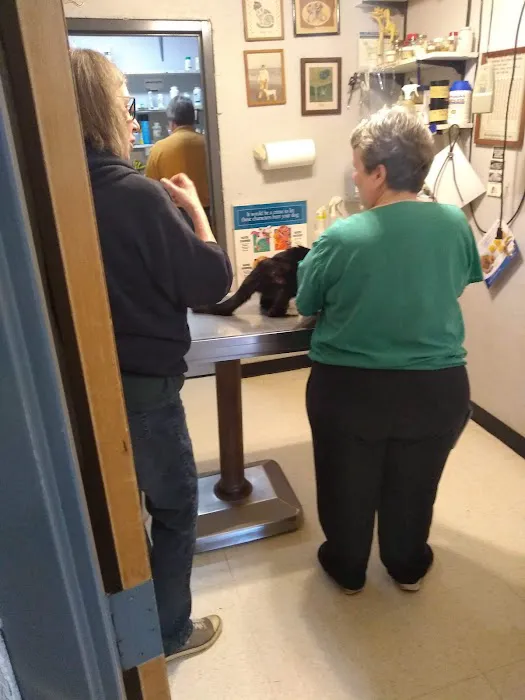 Bowen Animal Hospital 7