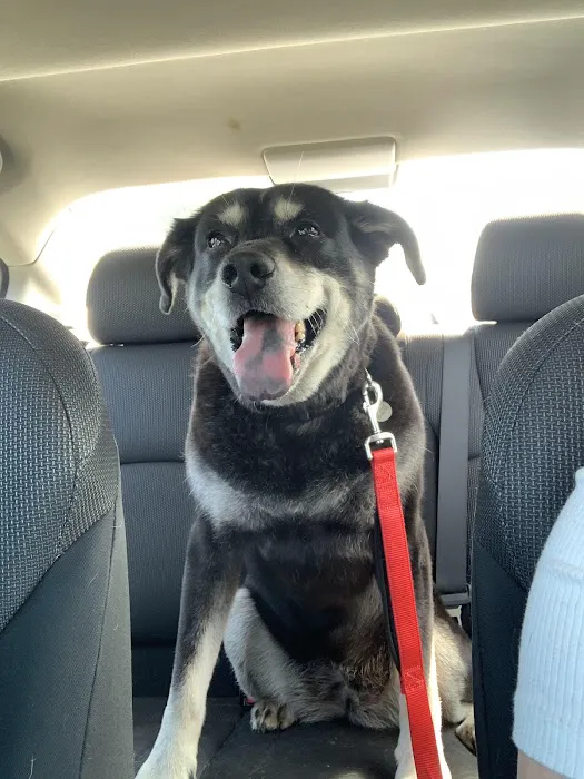 Faithful Hearts Mobile Veterinary Services - End-Of-Life Care 3