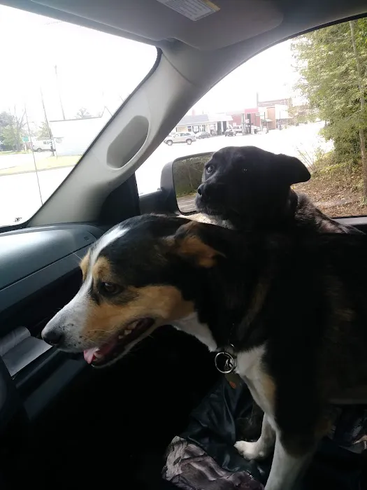 Honea Path Animal Hospital 6