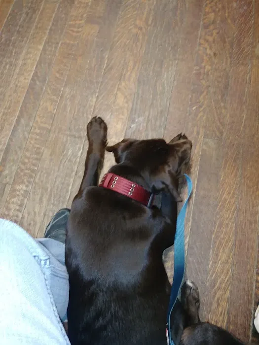 Honea Path Animal Hospital 7