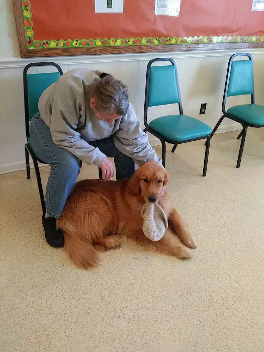 Animals Of Eden Veterinary Hospital PLLC 1