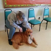 Animals Of Eden Veterinary Hospital PLLC ico