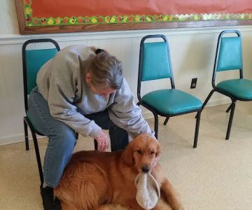 Animals Of Eden Veterinary Hospital PLLC