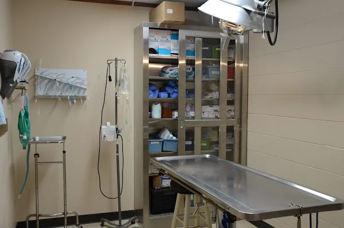 Veterinary Services 4