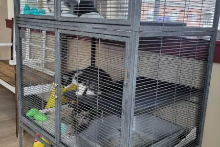 Veterinary Services