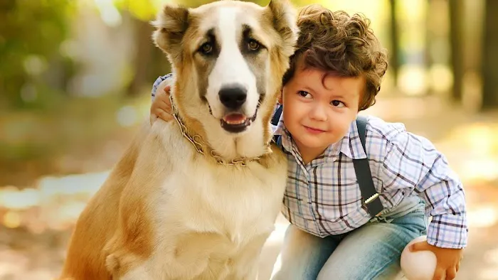 All About Animals Veterinary Clinic 10