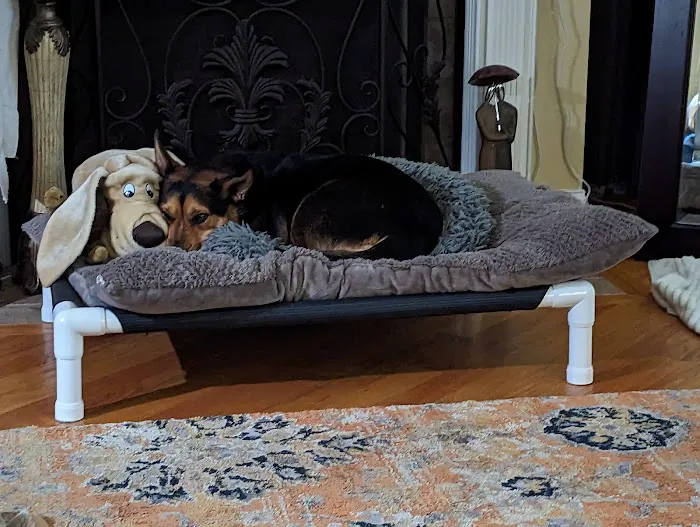 Healthy Petz Veterinary Hospital, LLC 5