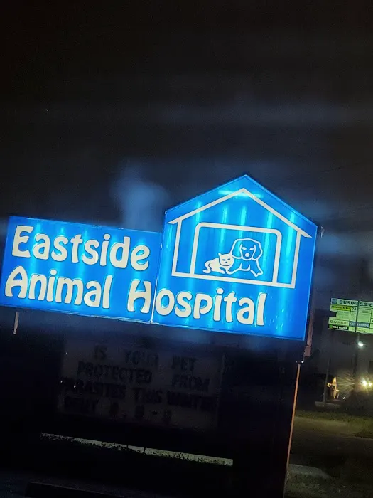Eastside Animal Hospital 1