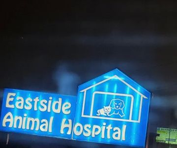 Eastside Animal Hospital