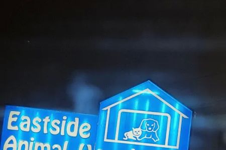 Eastside Animal Hospital