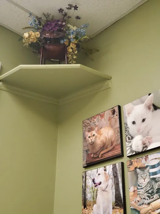 Eastside Animal Hospital 4
