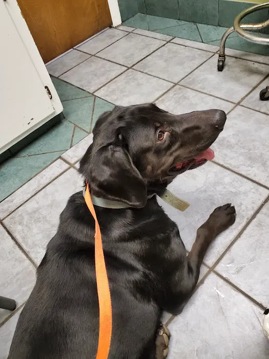 Eastside Animal Hospital 9