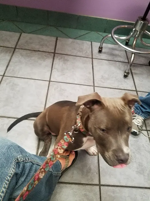 Eastside Animal Hospital 10