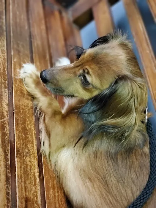 Eastside Animal Hospital 8