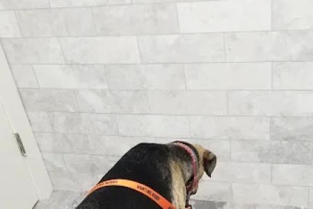 Columbia Hospital For Animals