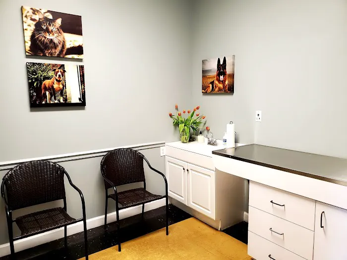 Veterinary Wellness Clinic Of Columbia 12