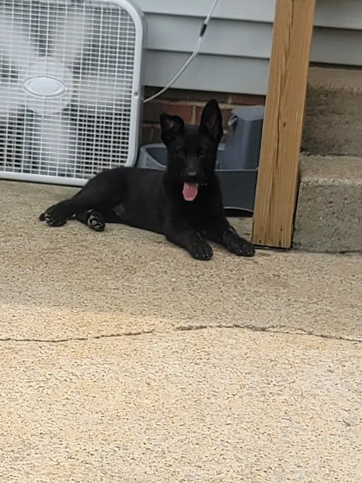 Anderson Veterinary Clinic 2