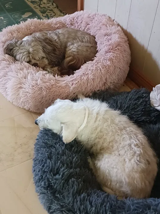 Anderson Veterinary Clinic 6