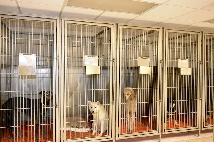 Family Pet Care 3