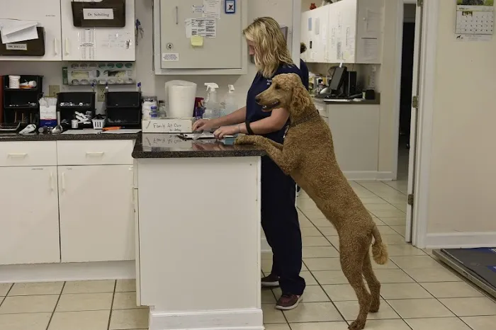 Family Pet Care 4