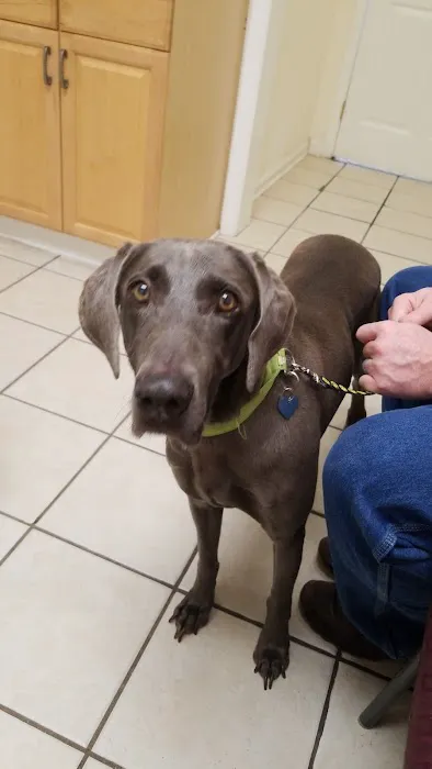 Family Pet Care: Milford Joanna DVM 1