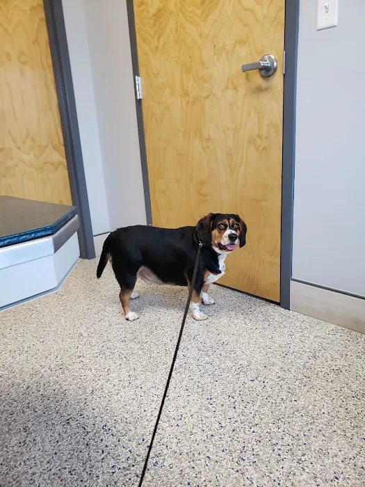 Village Veterinary Clinic 10
