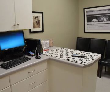 Village Veterinary Clinic