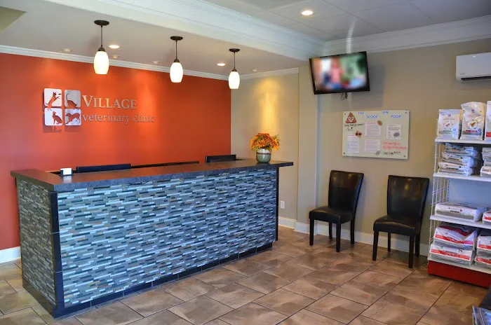 Village Veterinary Clinic 4