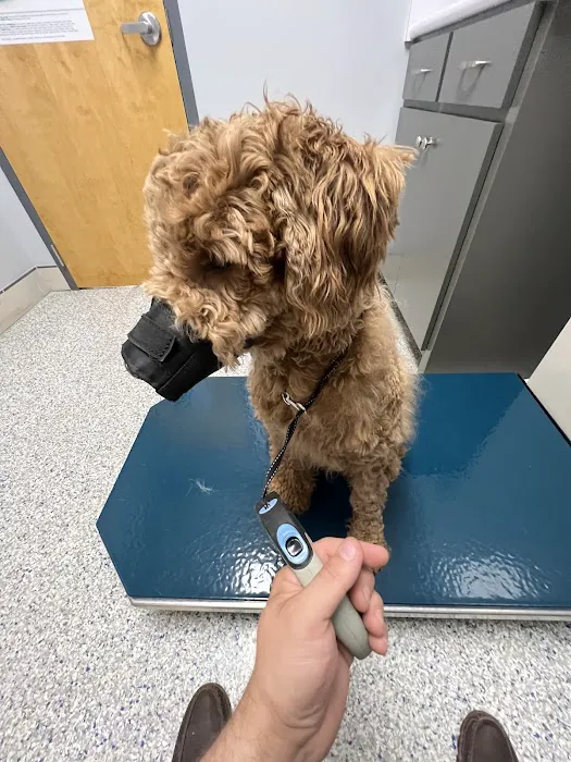 Village Veterinary Clinic 8