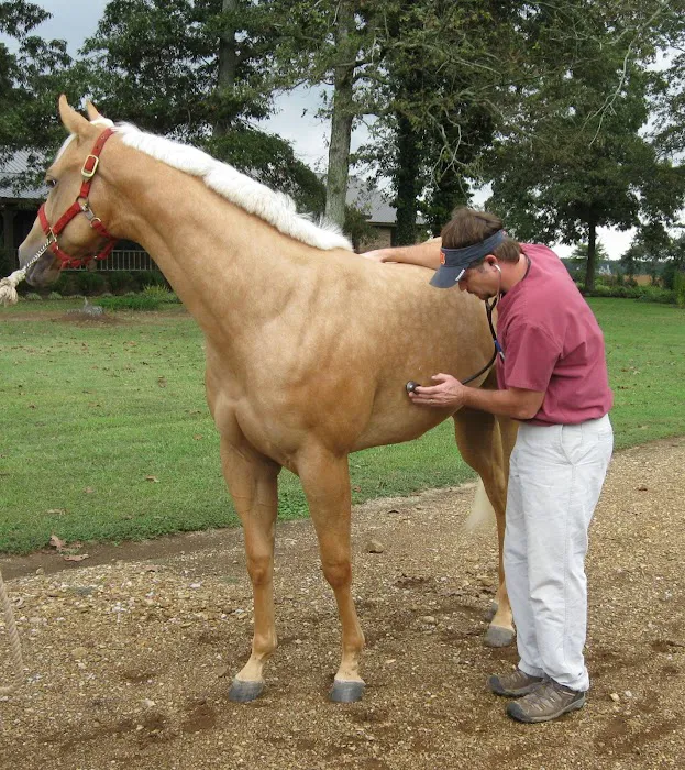 Tennessee Equine Hospital South 8