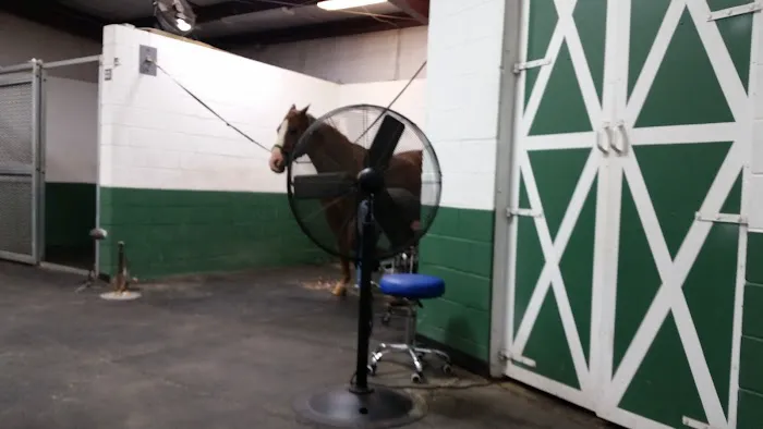 Tennessee Equine Hospital South 5