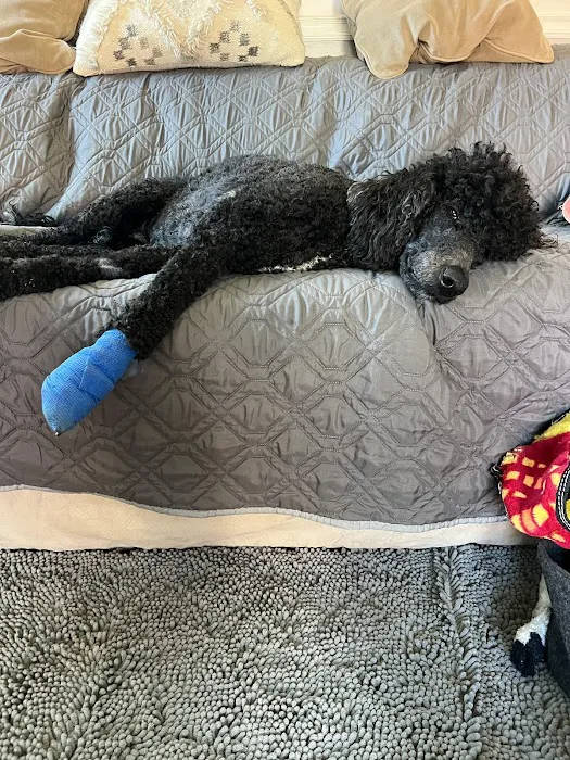 Madison Veterinary Emergency 3