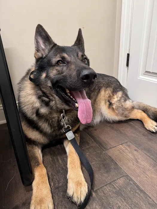 Eastside Animal Hospital 4
