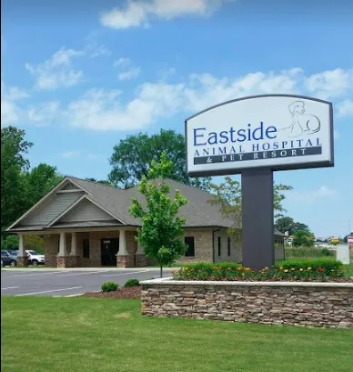 Eastside Animal Hospital 8