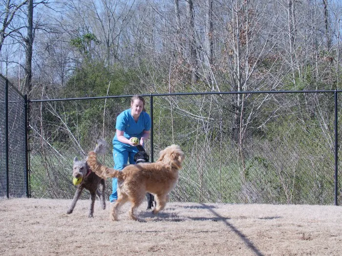 Eastside Animal Hospital 10