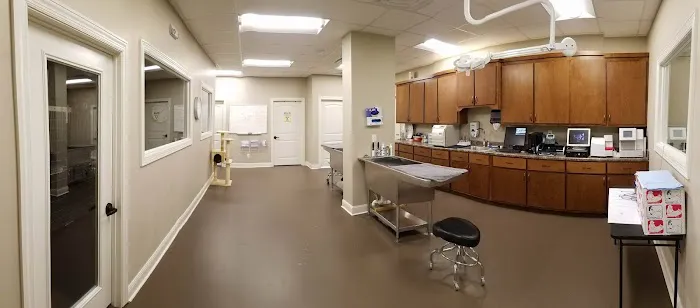 Eastside Animal Hospital 5
