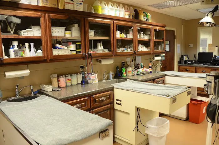 Limestone Veterinary Clinic 6